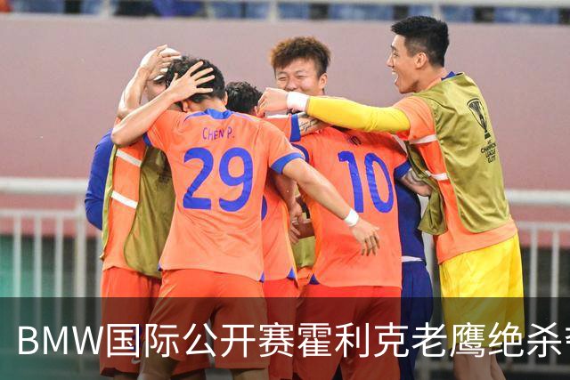 BMW国际公开赛霍利克老鹰绝杀夺首冠 吴阿顺T7
